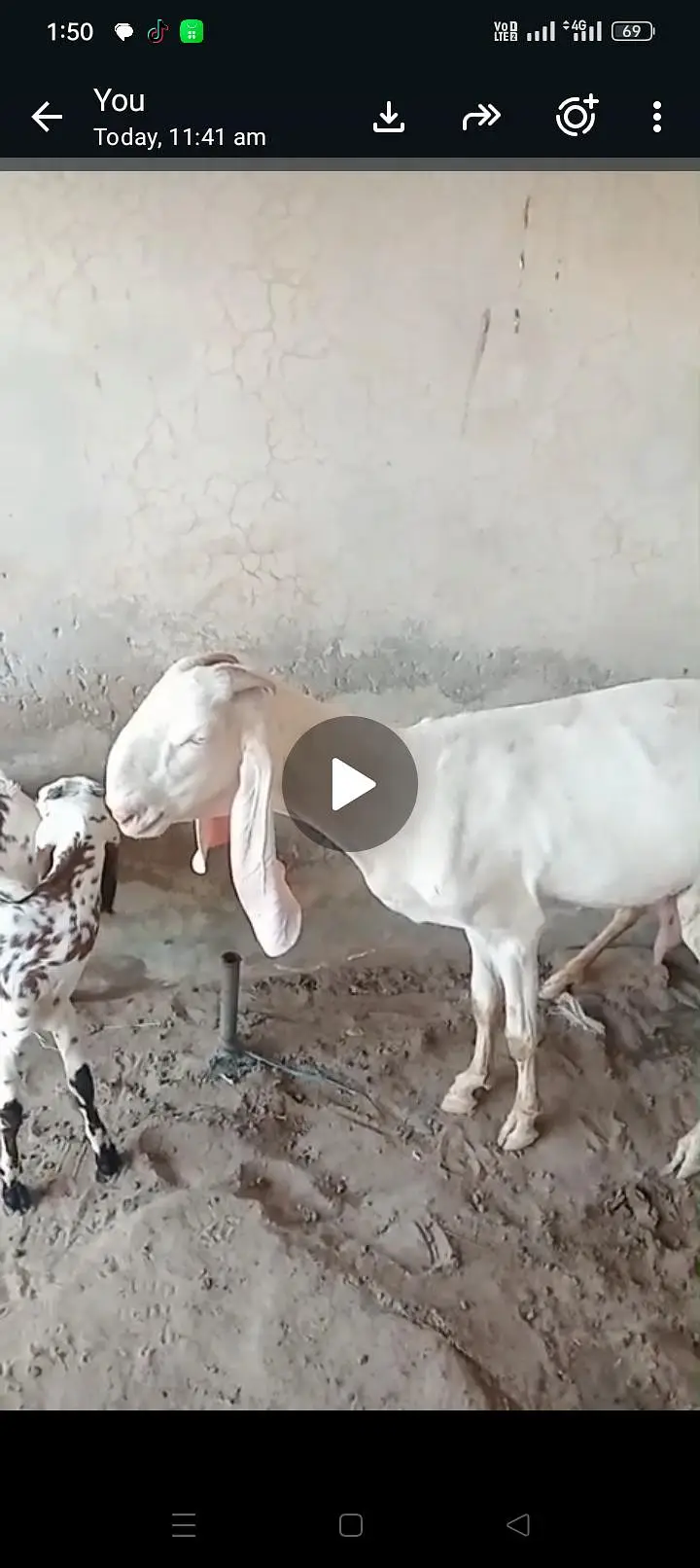 bakri — photo 4