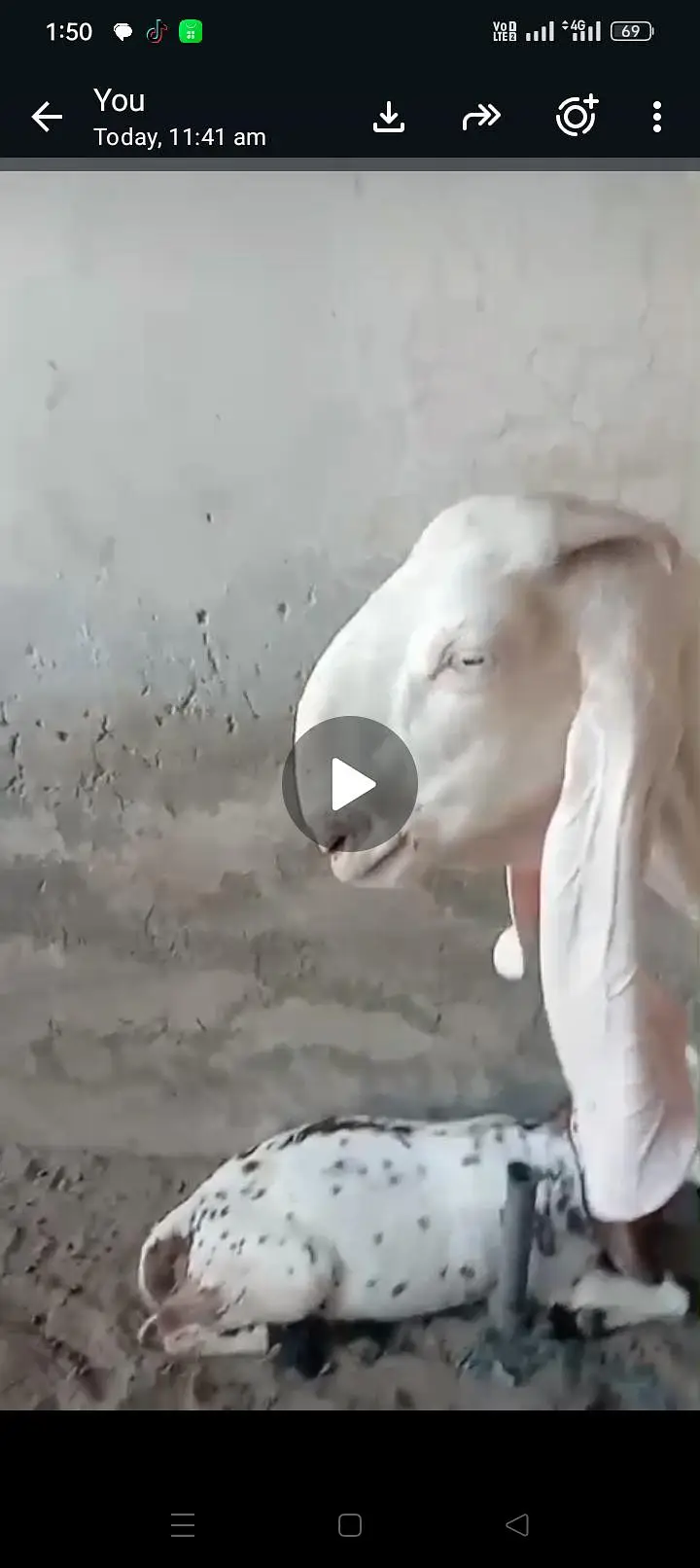 bakri — photo 5