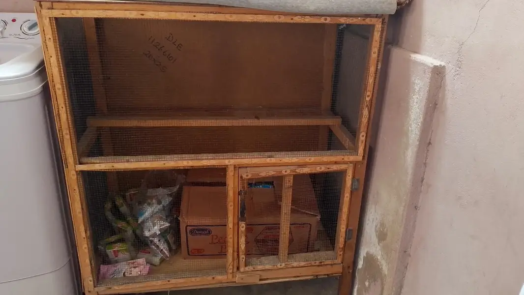 panjara — photo 2