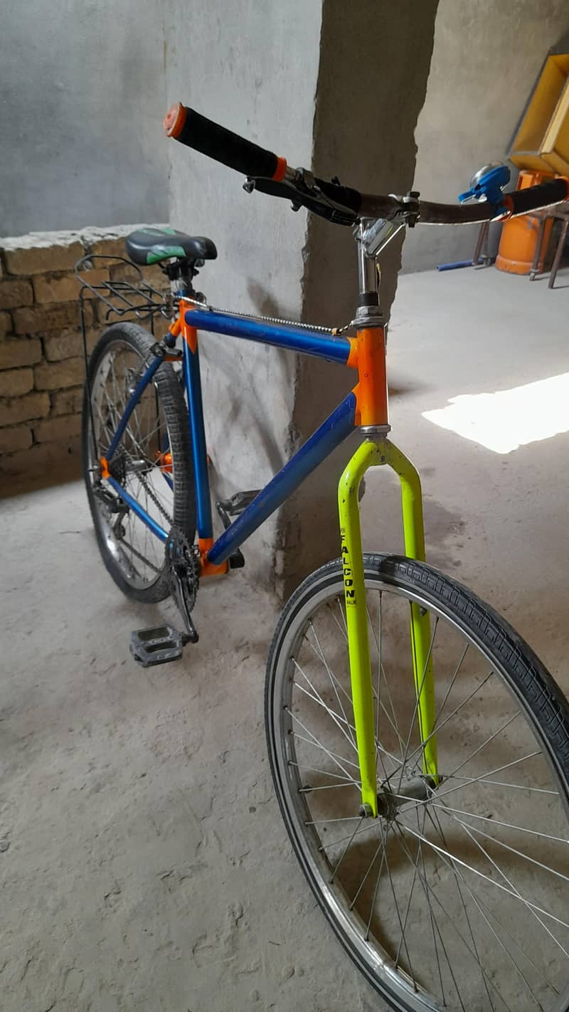phonex cycle 1