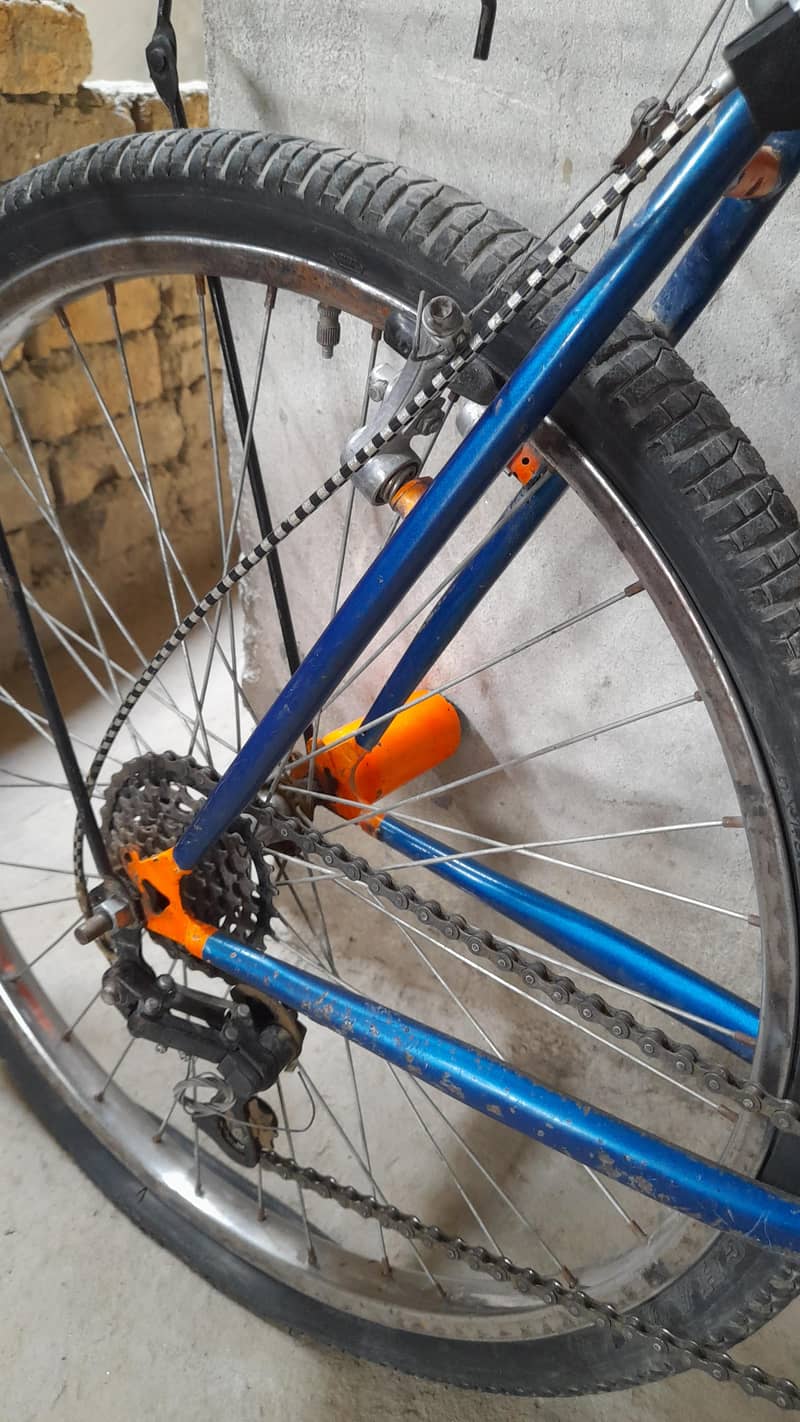 phonex cycle 4