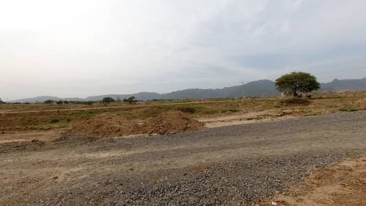 Prominently-Located 1000 Square Feet Residential Plot Available In E-12