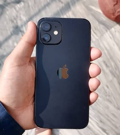 Apple iPhone 12