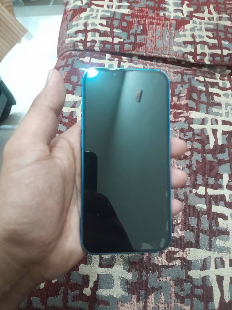 Apple iPhone 13 0