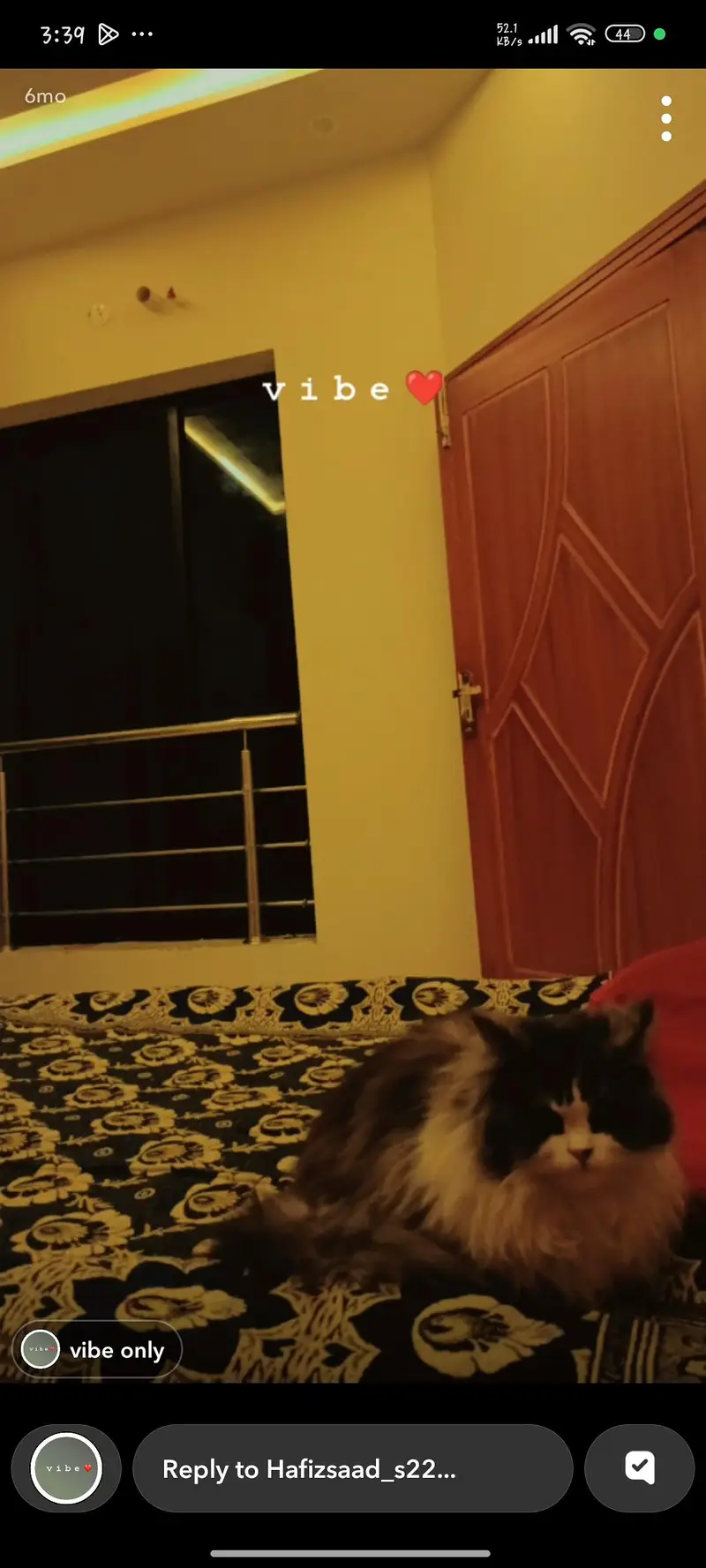 This cat  is too much playful full furry ,litter trained. — photo 2
