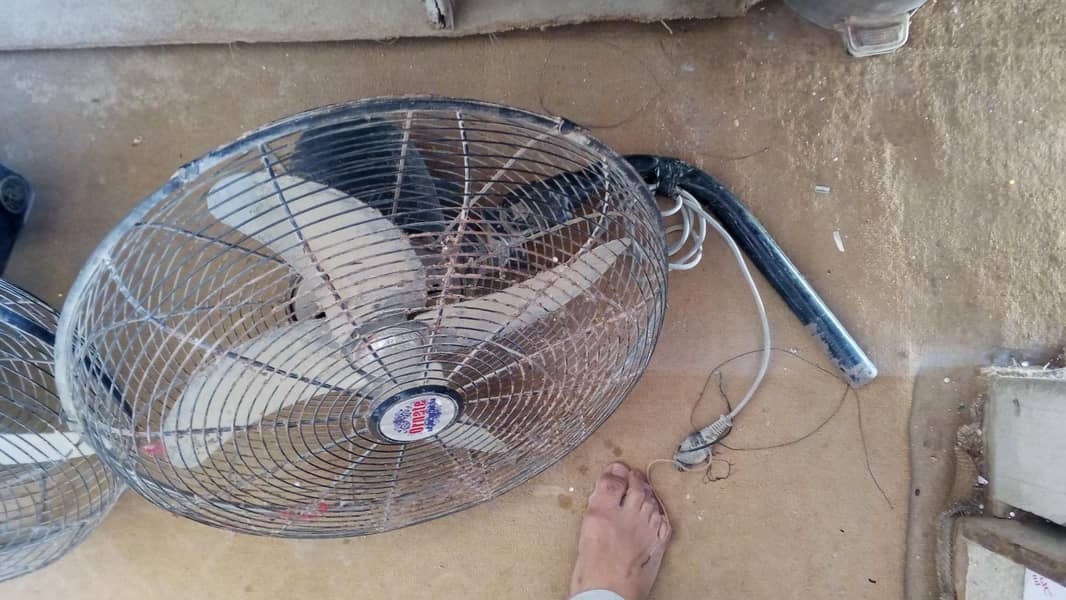 fans122 9