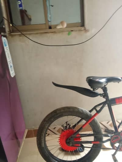 cycle