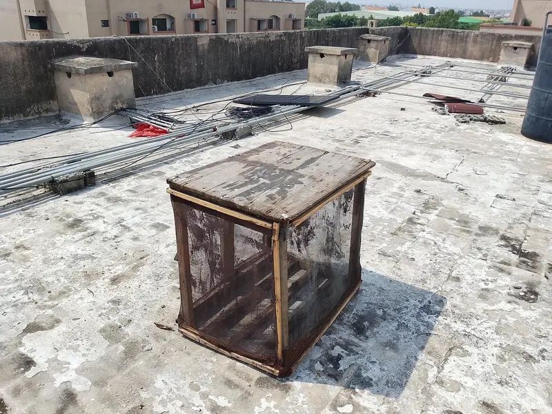 cage for urgent sale — photo 2