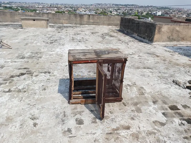 cage for urgent sale — photo 4