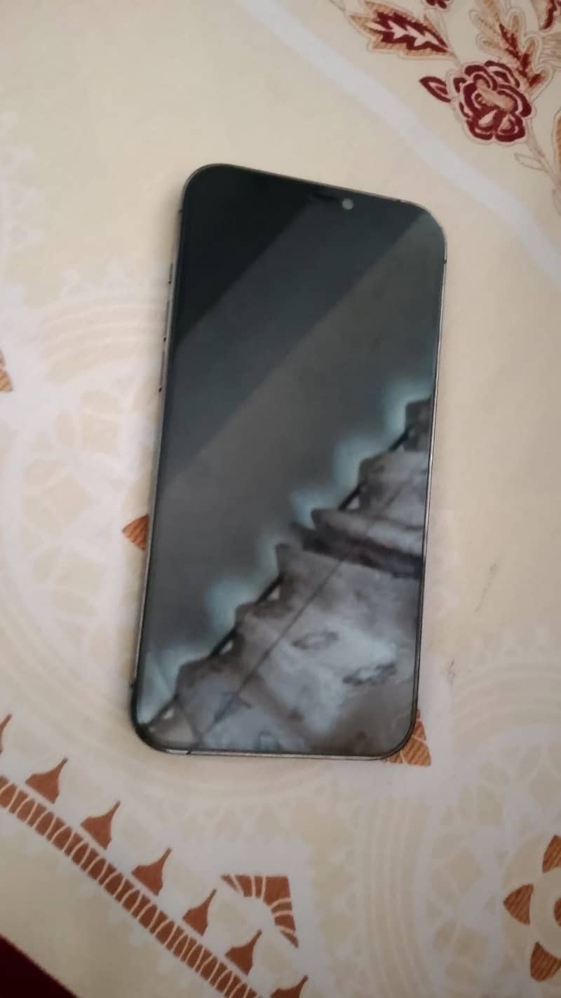 Apple iPhone 12 Pro Max 2