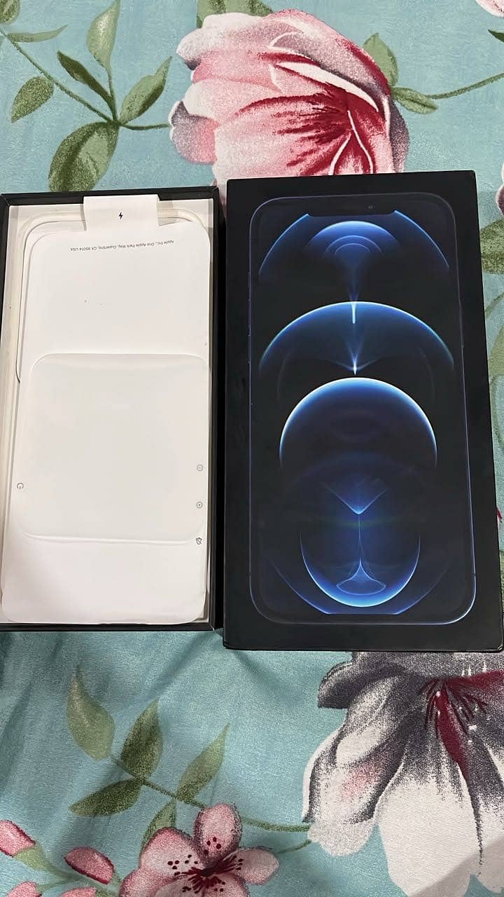 Apple iPhone 12 Pro Max 7