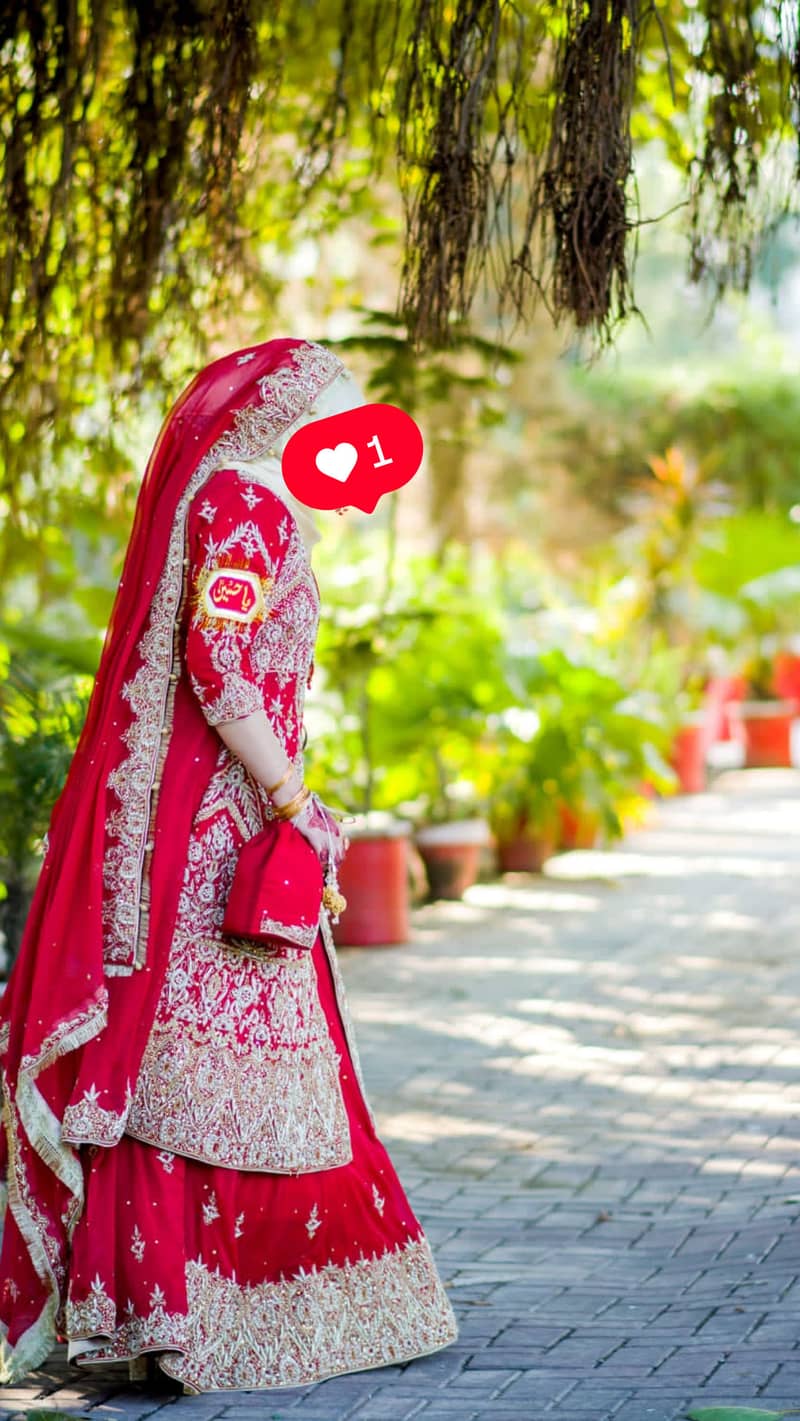 Bridal langha 2