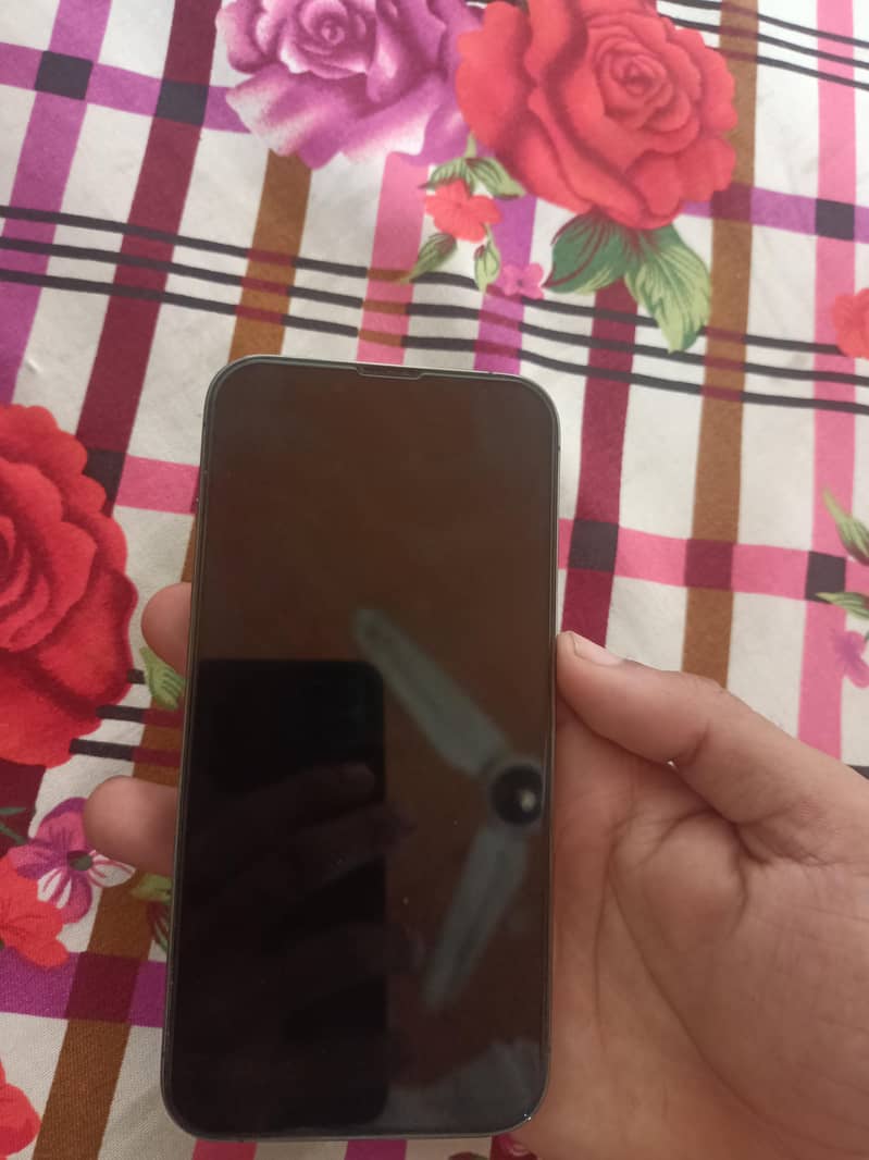 Apple iPhone 13 Pro 3