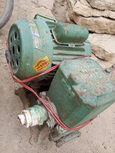 double beld pump