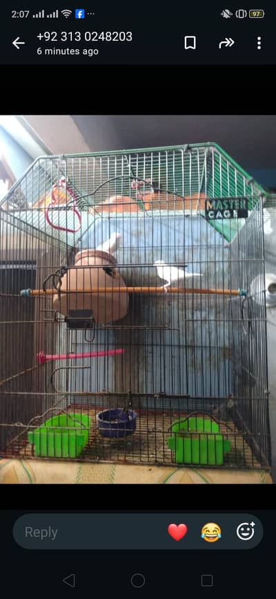 Java birds master cage 3000