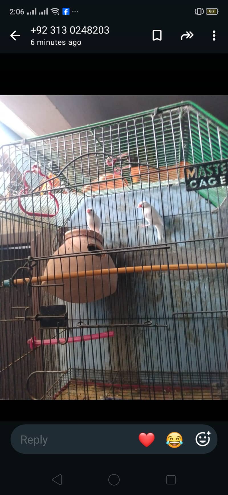 Java birds master cage 3000 1