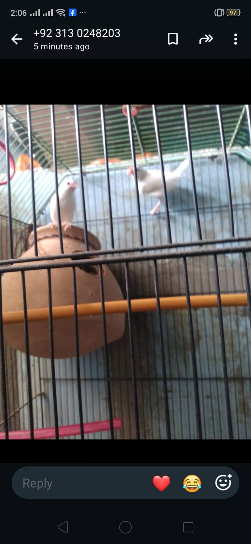 Java birds master cage 3000 2