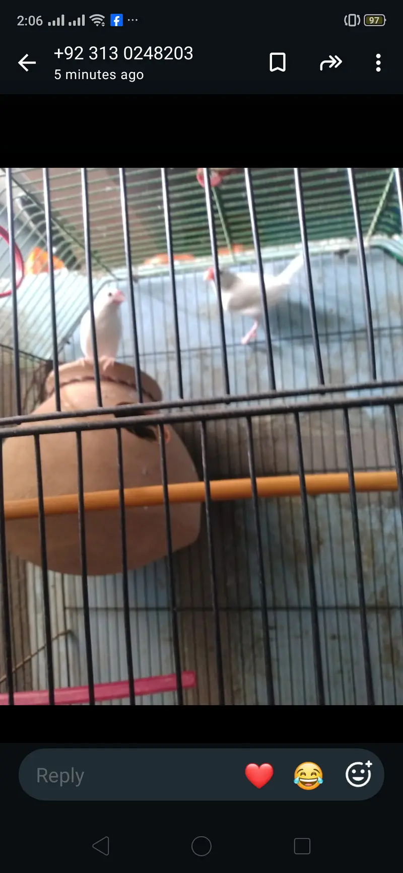Java birds master cage 3000 — photo 3