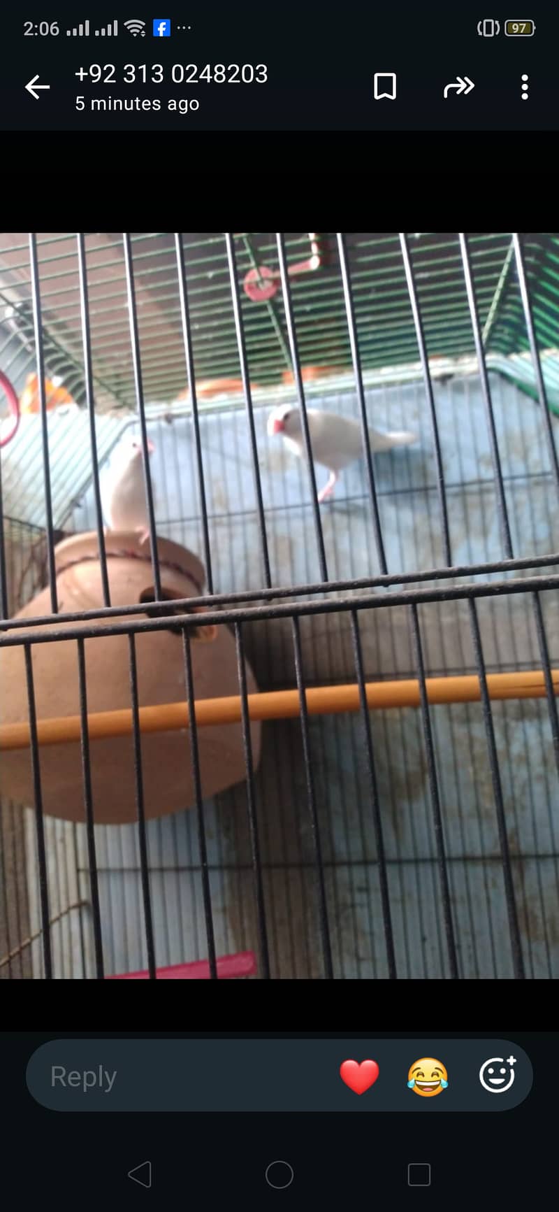 Java birds master cage 3000 3