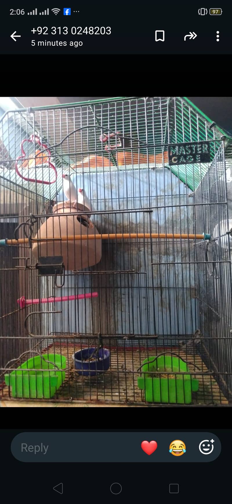 Java birds master cage 3000 4