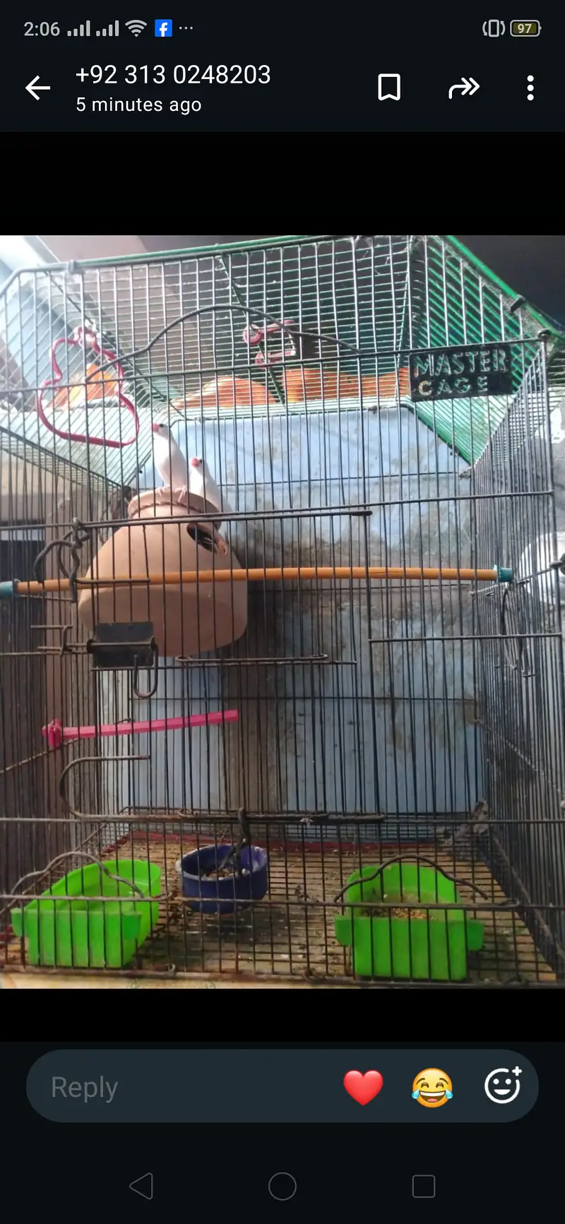 Java birds master cage 3000 — photo 5
