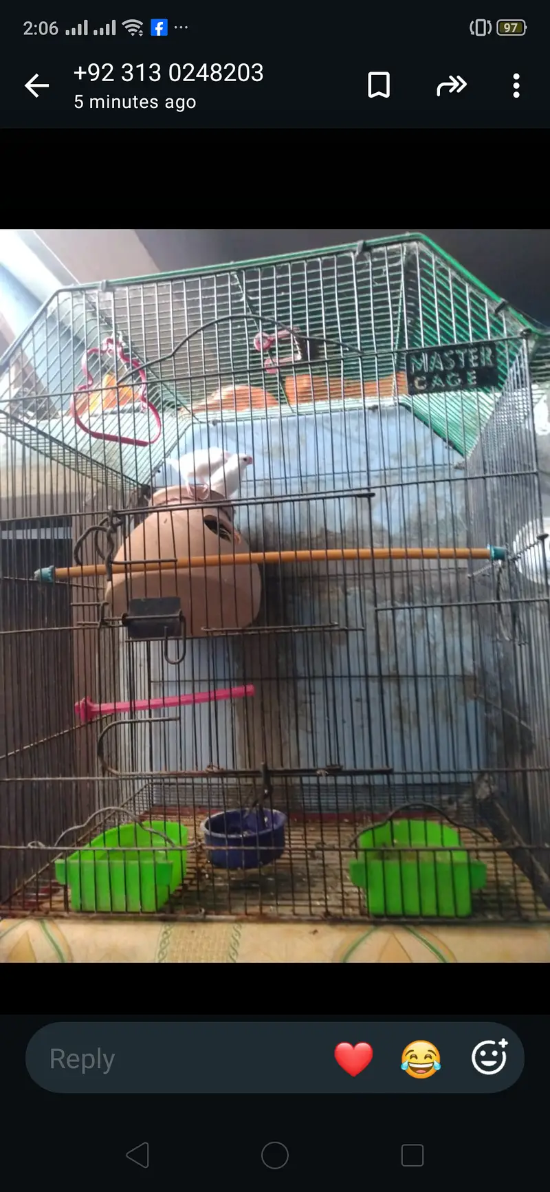 Java birds master cage 3000 — photo 6