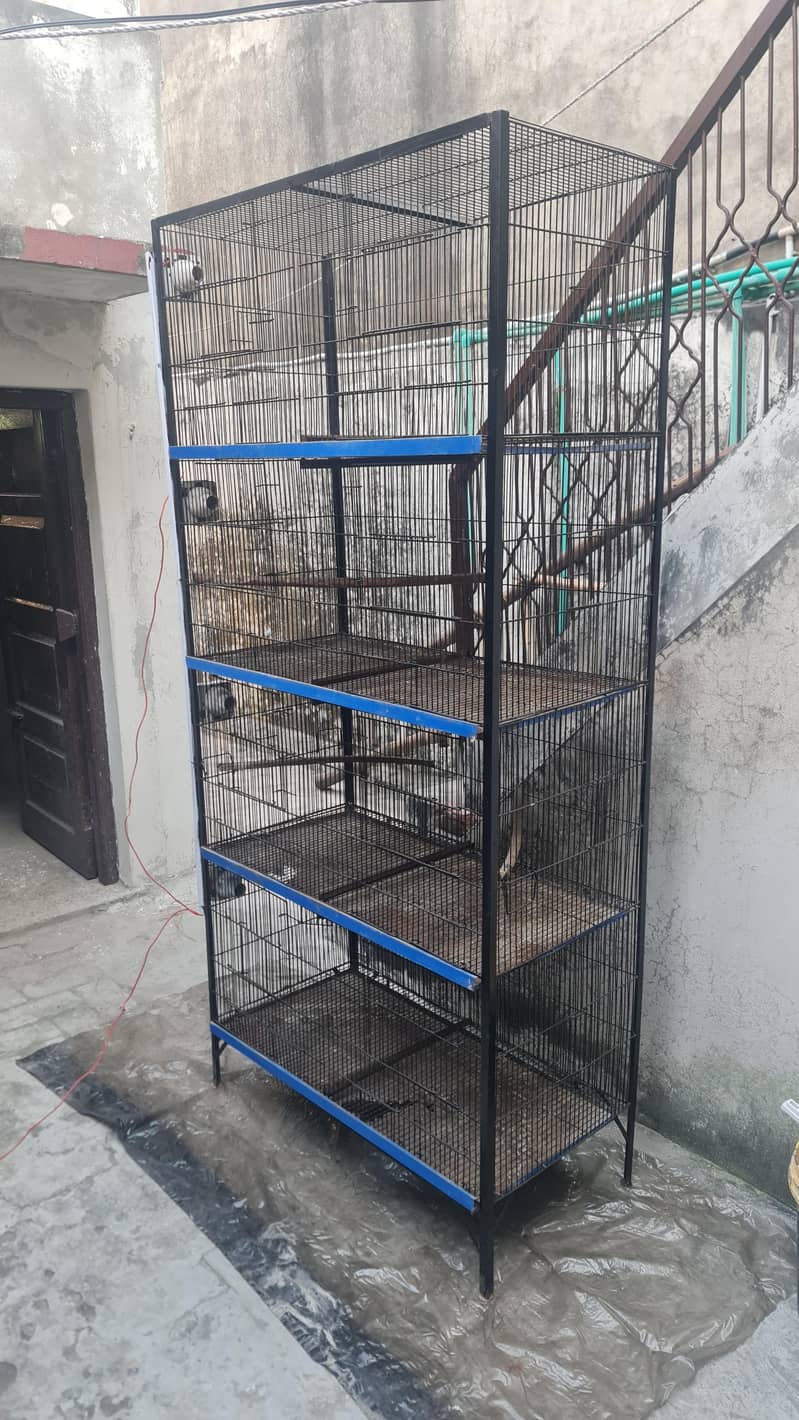 8 portion cage 6/3 0