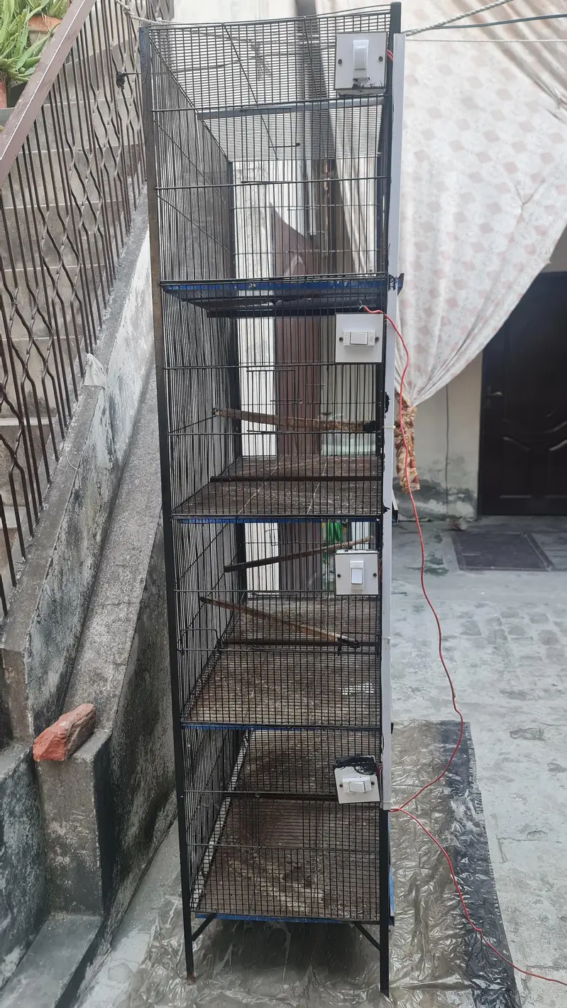 8 portion cage 6/3 — photo 2