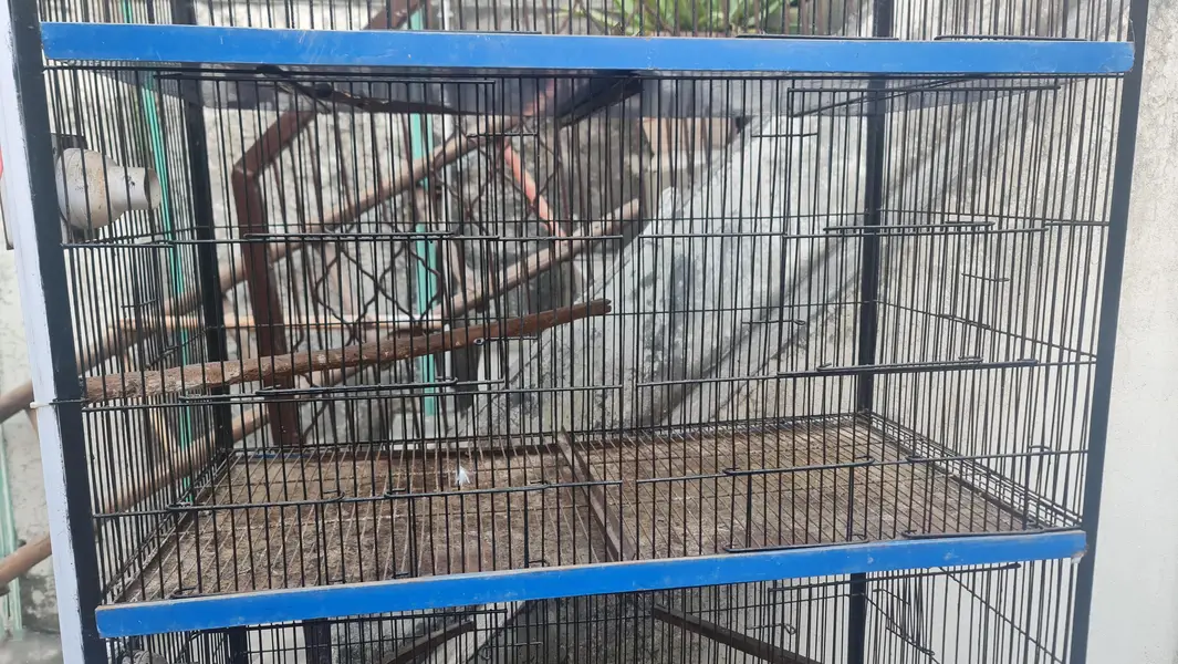 8 portion cage 6/3 — photo 3