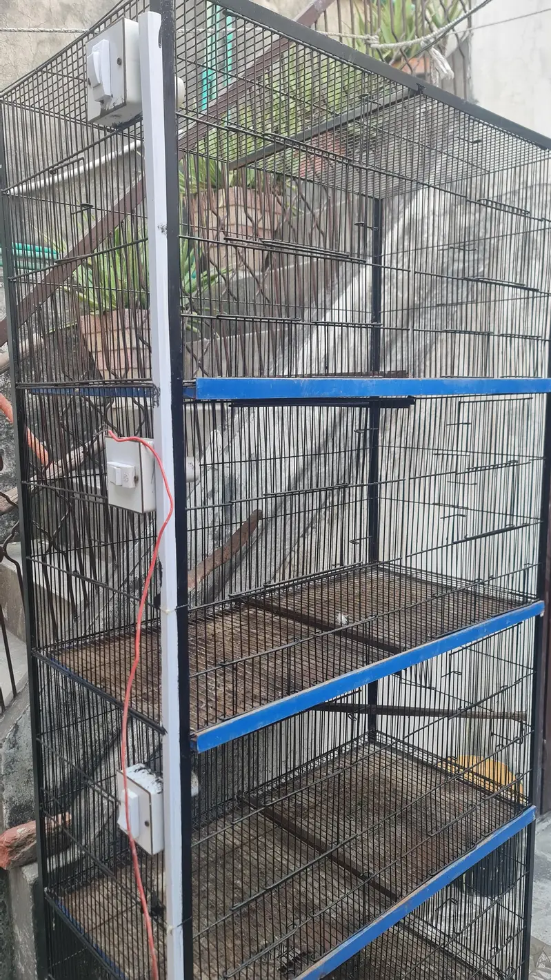 8 portion cage 6/3 — photo 4