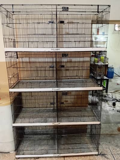bird cage