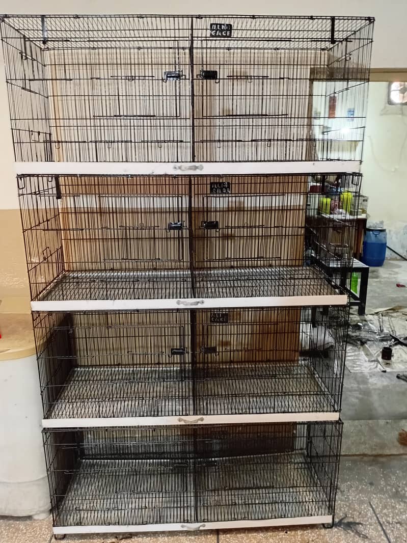 bird cage 0