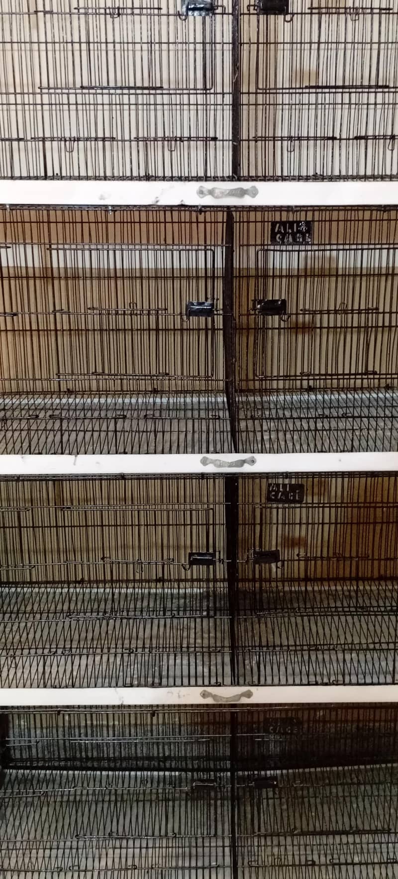 bird cage 1