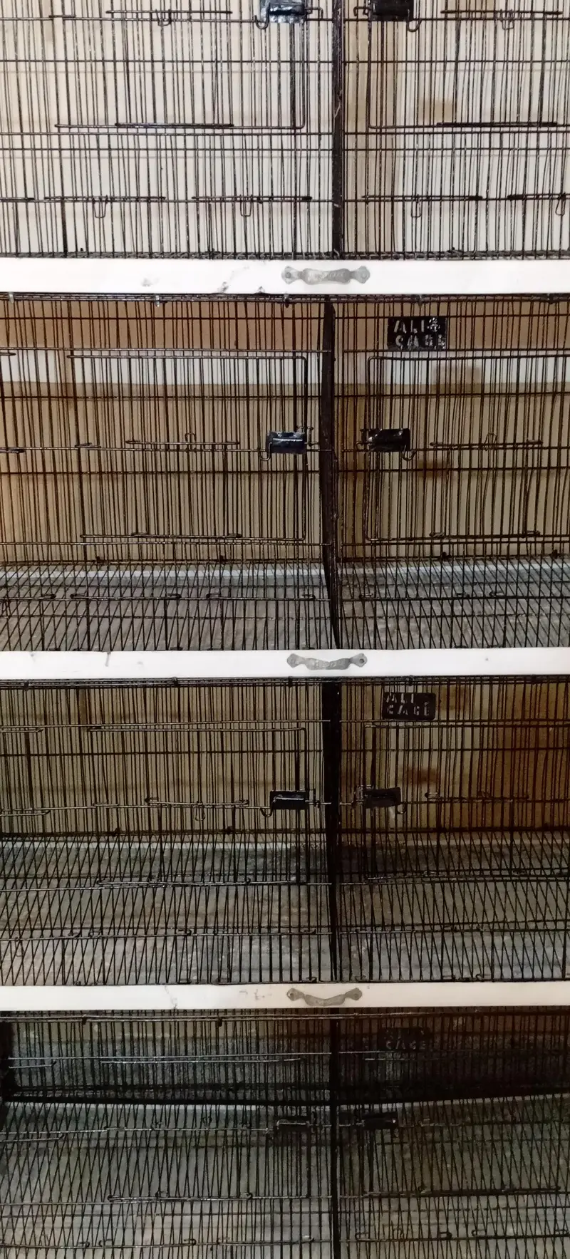 bird cage — photo 2