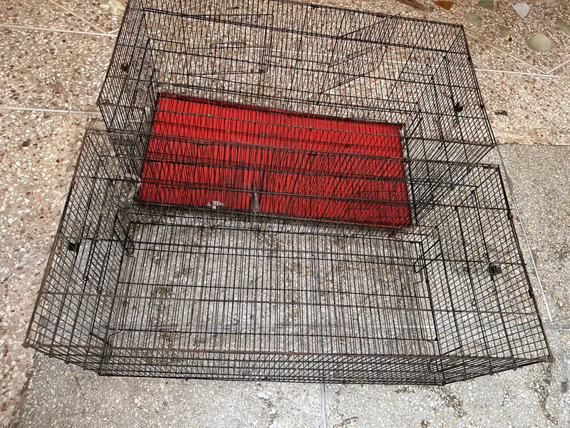 02 Big Birds Cage For Sale — photo 2