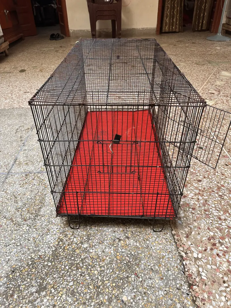 02 Big Birds Cage For Sale — photo 3