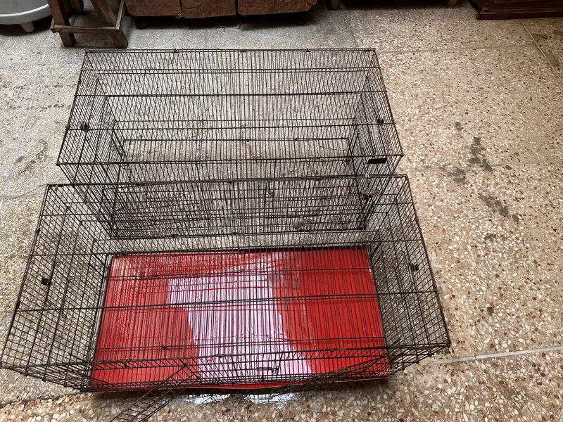 02 Big Birds Cage For Sale — photo 4