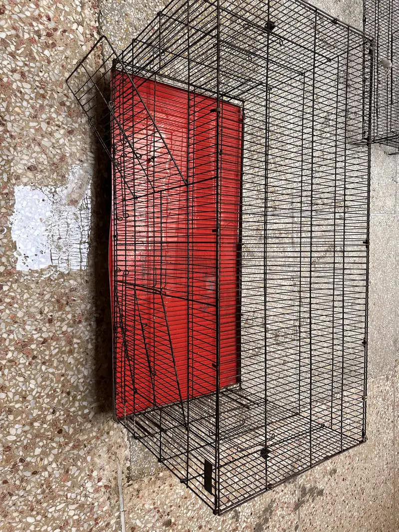 02 Big Birds Cage For Sale — photo 5