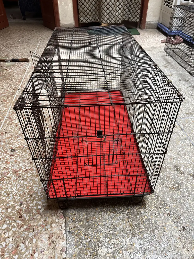 02 Big Birds Cage For Sale — photo 6