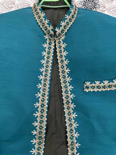 Ambroided prince coat