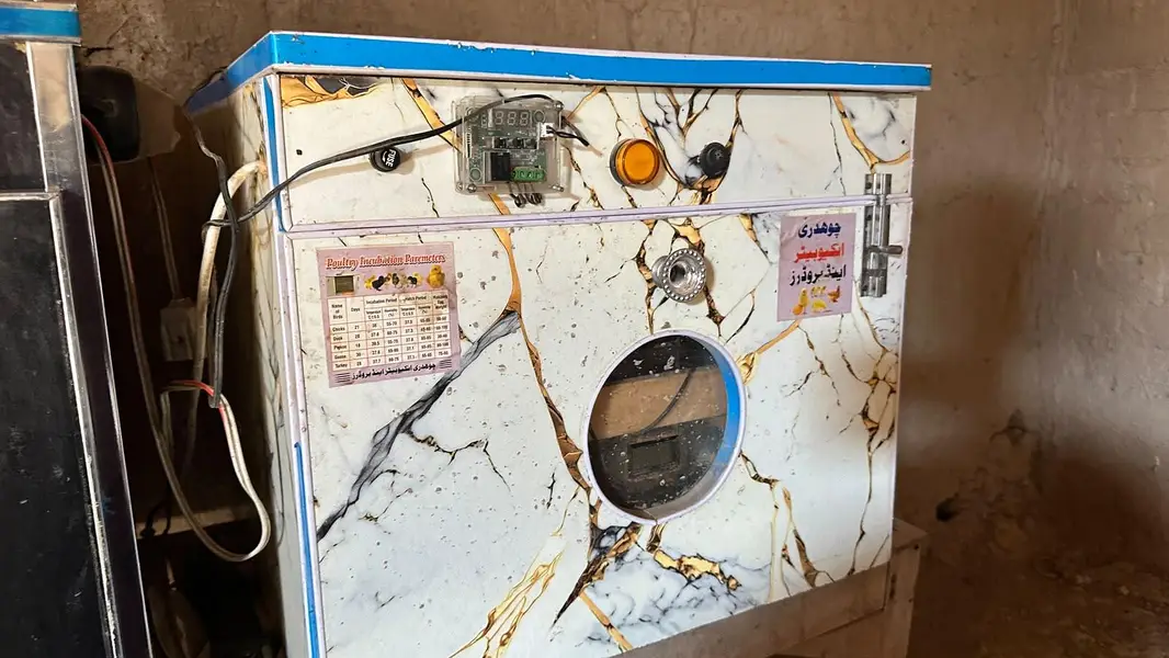 automatic incubator 52 egssand manual incubator 56 eggs — photo 2