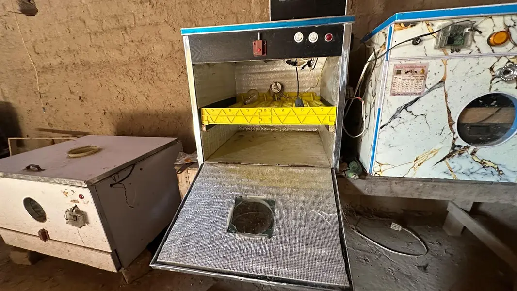 automatic incubator 52 egssand manual incubator 56 eggs — photo 3