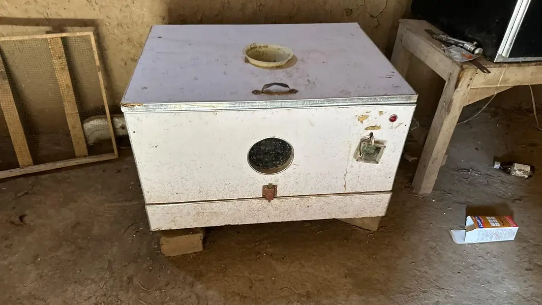 automatic incubator 52 egssand manual incubator 56 eggs — photo 6