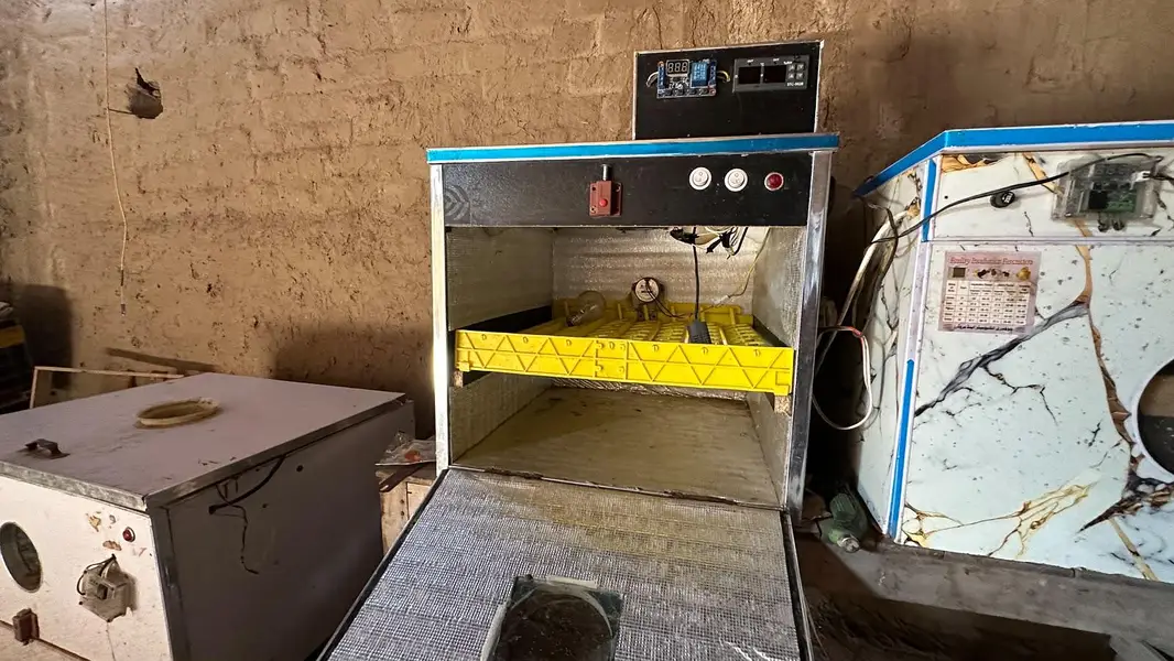 automatic incubator 52 egssand manual incubator 56 eggs — photo 7