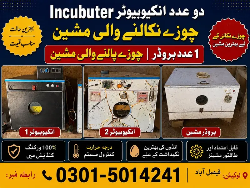 automatic incubator 52 egssand manual incubator 56 eggs — photo 8