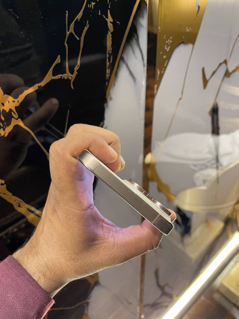 Apple iPhone 16 Pro Max 1