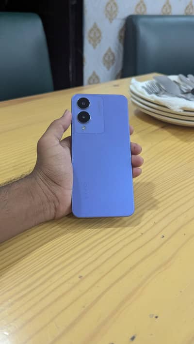 Vivo Y17
