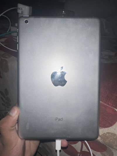 Apple iPad