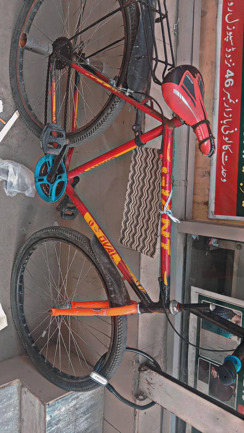 cycle 0