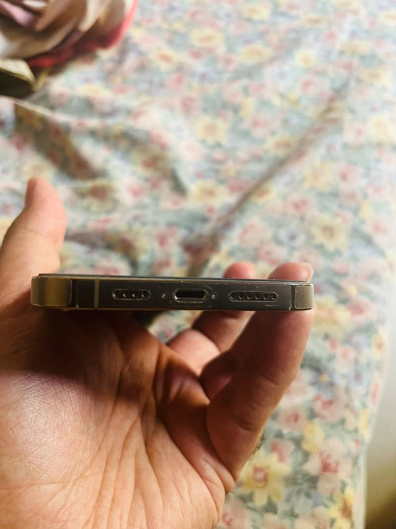 Apple iPhone 13 Pro Max 1